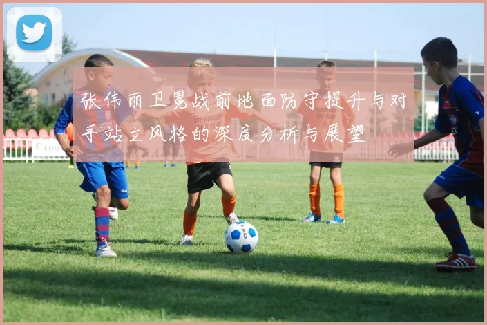张伟丽卫冕战前地面防守提升与对手站立风格的深度分析与展望