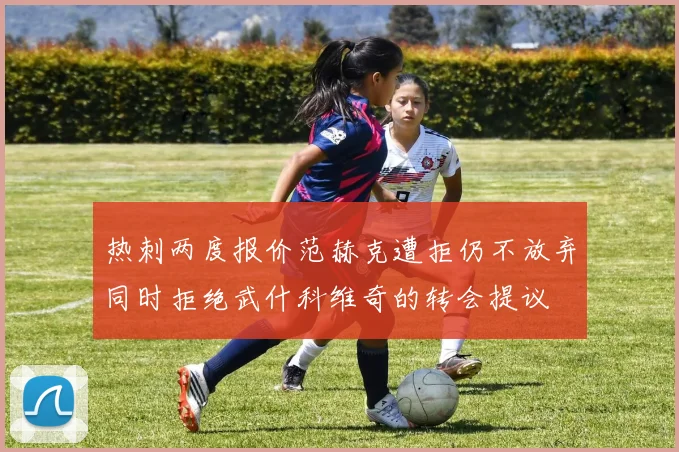 热刺两度报价范赫克遭拒仍不放弃同时拒绝武什科维奇的转会提议